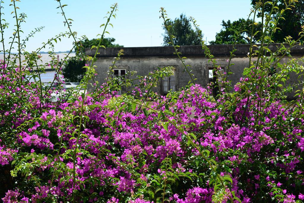 Posada Del Virrey Colonia del Sacramento Exterior photo